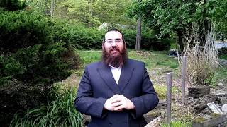 Parshas B'har - B'chukosai 5777 - Rabbi Aryeh Royde