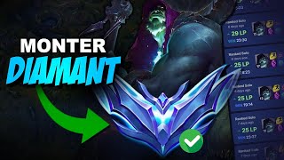 C'est surtout savoir quoi faire ! Un Guide Yorick TOP S14 FR