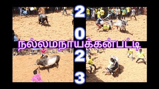 2023/-Nallamanayakkan patty jallikattu நல்லமநாயக்கன்பட்டி. ஜல்லிக்கட்டு