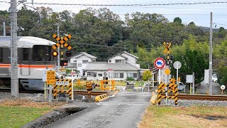 JR 身延線【№102】東漸寺踏切踏切・通過・走行映像（西富士宮駅⇔沼久保駅）静岡県富士宮安居山