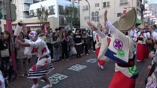 江戸っ子連／流し〜輪踊り2巡目／清瀬秋のふれあいまつり2019