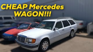 I Bought the Cheapest Mercedes 300TE in the USA: THE ORIGINAL DAD WAGON!