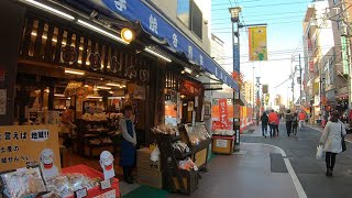 Sugamo Jizo-dori Shopping Street-巣鴨地蔵通り商店街-4K