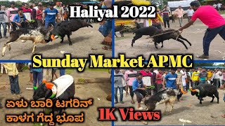 Haliyal || 🔥Sunday Market APMC || 2022🔥 ||