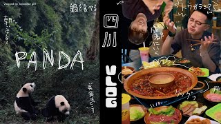 【四川旅行vlog】全てにおいて大大大満足した四川成都旅行 loveです【中国留学】