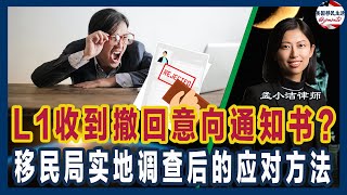 如何应对L1签证撤销意向书？移民局实地调查后 L1公司和申请人的解决策略详解| 移民美国