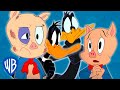 Looney Tunes | Best of Porky Pig & Daffy Duck Compilation | WB Kids