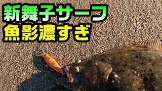 【福島サーフ】11月中旬、新舞子サーフの魚影が濃すぎる