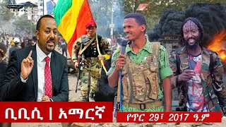 BBC Amharic: ቢቢሲ አማርኛ ራዲዮ የጥር 29፣ 2017 ዓ/ም | Ethiopian News Today