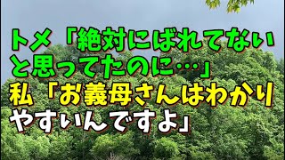 【スカッとひろゆき】トメ「絶対にばれてないと思ってたのに…」 私「お義母さんはわかりやすいんですよ」