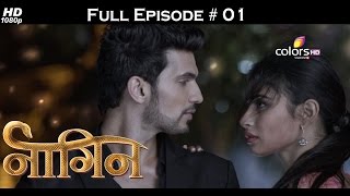 Naagin - 1st November 2015 - नागिन - Full Episode (HD)