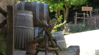 Visitez le Puy du Fou...