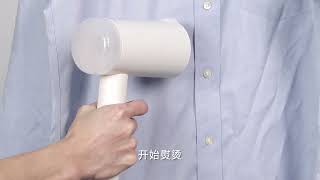 Lofan Handheld Garment Steamer Recommended