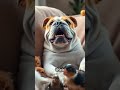 Discover why Bulldogs are the MOST LOVED breed in United States today