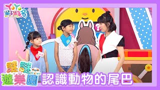 【謎謎遊樂園】｜ 認識動物的尾巴