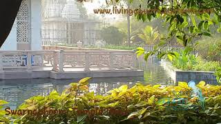 Swarnabhoomi, Raipur Temple Pond