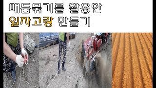 매듭묶기를 활용한 일자고랑 만들기