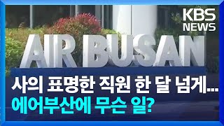 “직장 내 괴롭힘 당했다”…에어부산 대표 신고 / KBS  2024.04.17.