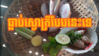 របៀប ស្ងោរត្រី វិធី របៀបធ្វើ បែបនៅស្រុកស្រែ មេផ្ទះខ្ញុំគាត់ធ្វើបែបនិង