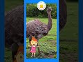 Domestic Animals Kids Song |What Do You See? Song |Animals Name and Sounds|Tamilarasi