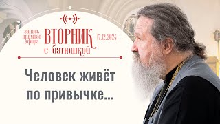 Умный человек не доверяет себе. Вторник с батюшкой. Беседа с прот. Андреем Лемешонком 17.12.2024