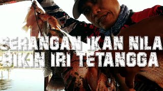 PASTI BIKIN IRI TETANGGA