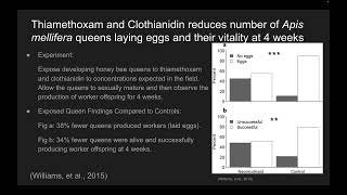 Thiamethoxam and Clothianidin insecticides lower the Apis mellifera queen’s reproductive rate