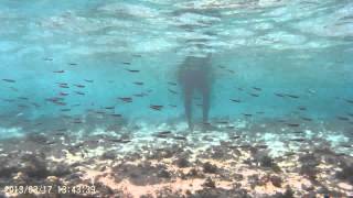 Diving at Winifred Beach