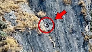 If It Hadn't Been Filmed, Nobody Would Believe It... 1000 Shocking Moments!!