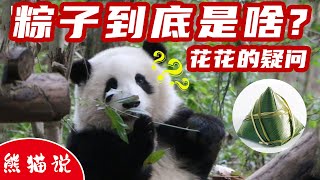 花花的疑问，粽子是啥？萌萌解答疑惑，萌兰呼叫徐姥爷。出镜嘉宾：花花.萌萌.萌兰