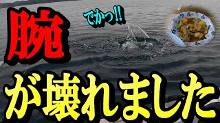 海の神様は裏切らない‼最後に大物きて腕が壊れました！＆愛妻とブリじゃが作ってみました‼#釣り　#2馬力ボート　#釣り鹿児島　#キャスティング　#青物釣り　#ナブラ　#ロックショア　#根魚　#ジギング