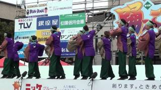 桔梗　2013　踊っこまつり　1日目　本部競演場