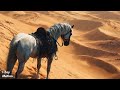 arabic remix ai generated official dance music video mesmerizing beats u0026 visuals