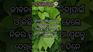 ସୁଵିଚାର 🙏।। ପ୍ରେରଣା।। ଶିକ୍ଷା।। ଆସଆମେକିଛିଶିଖିବା।। ନିଜପାଇଁ କିଛି ହିତକର।। ନୀତିଶିକ୍ଷା।। anuchinta