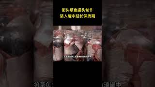 街头草鱼罐头制作，鱼肉装入罐中，注满猪油腌制，做成罐头，滋味浓郁醇厚 #草鱼  #罐头 #街头美食