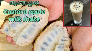 ആത്തച്ചക്ക/custard apple milk shake recipie/ഒരു തവണ കഴിച്ചാല്‍ പിന്നെ വിടൂല✅/milk shake recipie/