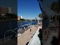 watch the quack tastic downtown tampa duck race live with 12 000 ducks