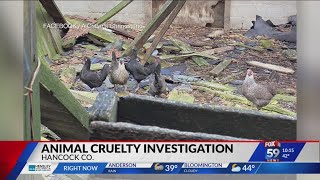 Dozens of animals seized from Hancock County farm
