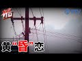 《#东方110》70岁老太邂逅爱情 结果被骗80万巨款！ | 黄“昏”恋 【STV综合频道】FULL