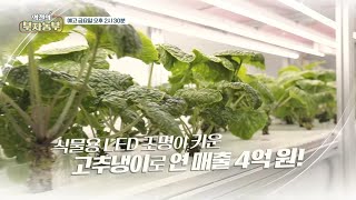 [예고_173회] 식물용 LED 조명으로 연 매출 4억??