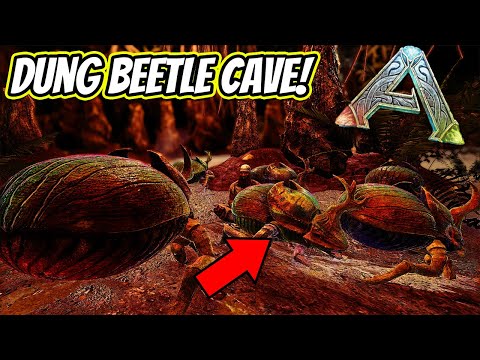 ARK Fjordur: Where to find dung beetles | Location guide