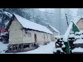 Snowfall 2020 / Kashmir / Nature Lovers/ whatsapp status