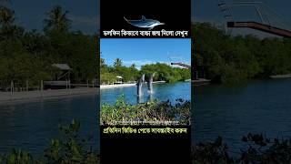 ডল‌ফিন কিভা‌বে তার বাচ্চা জন্ম দেয় 🐬! #shorts #shortsfeed