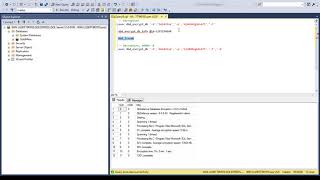 SQL Server database encryption with DbDefence.