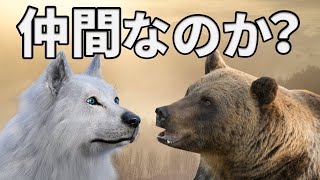 クマはイヌの仲間か？【解説動画】