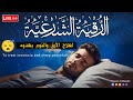 رقية شرعية | كل ليلة قبل النوم علاج الأرق والنوم بهدوء😌🎧 تحصين من العين السحر الحسد Roqiay for sleep