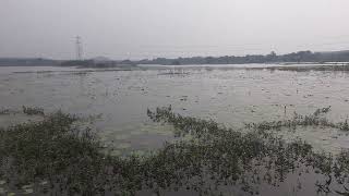 #Poonthandalam lake#kanchipuram district#shorts#tamilnadu lakes