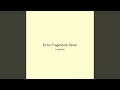 Echo Fragments Silver