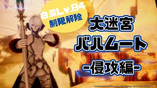 【制限解除】大迷宮バハムート　-侵攻編-  ｜FF14