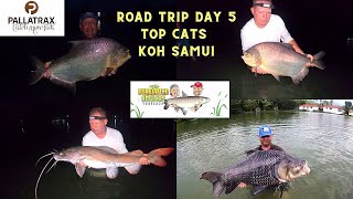 Fishing in Thailand - The Overrated Anglers - Road trip - Top cats Koh Samui, Siamese on the feed!!